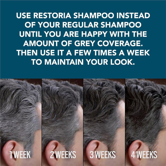 Restoria 非染髮色彩修復洗髮乳 147ml(黑髮洗髮乳)