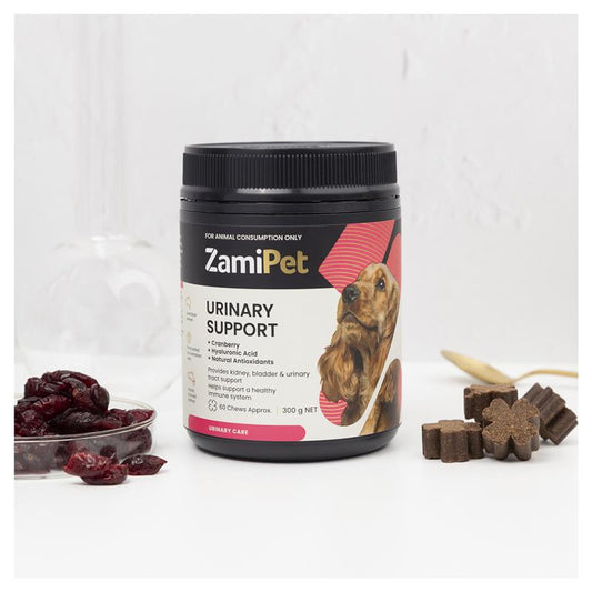 ZamiPet 狗狗蔓越莓+透明質酸 300g 60 粒咀嚼片 (犬用泌尿支持)